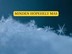 Wilson Bentley: Az ember, aki lefotózta a hópelyheket