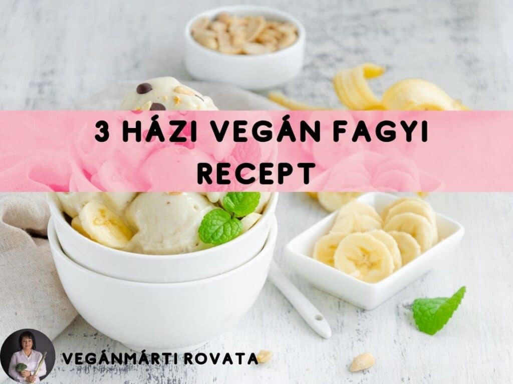 vegán fagyi