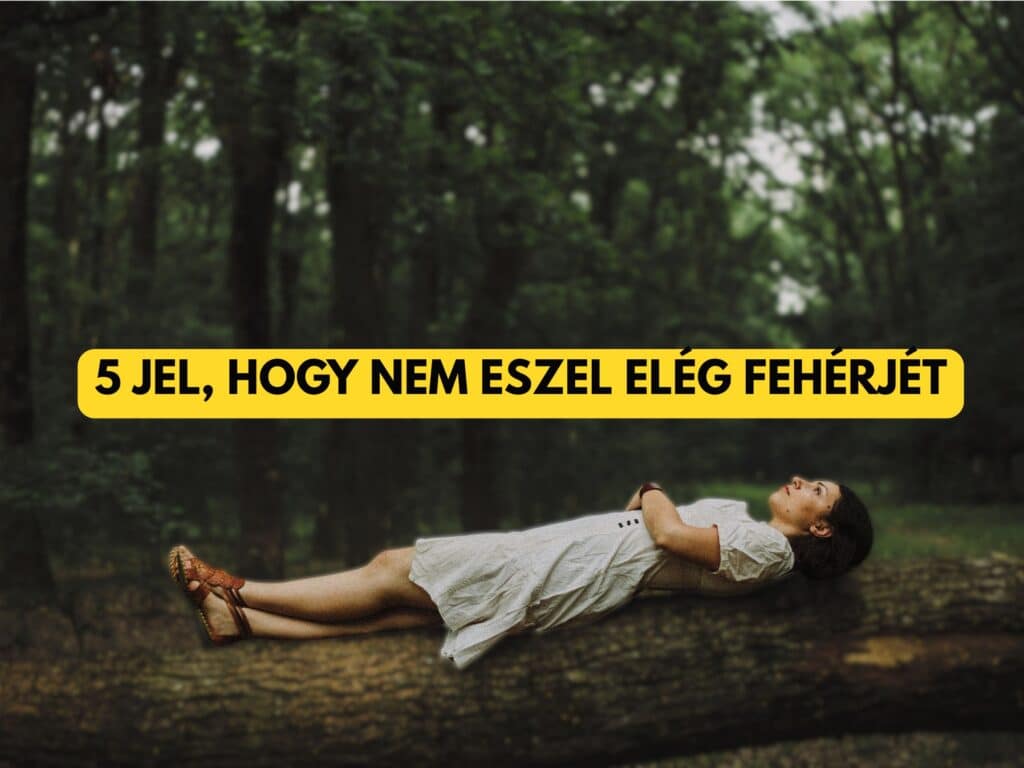 5 jel, hogy nem eszel elég fehérjét