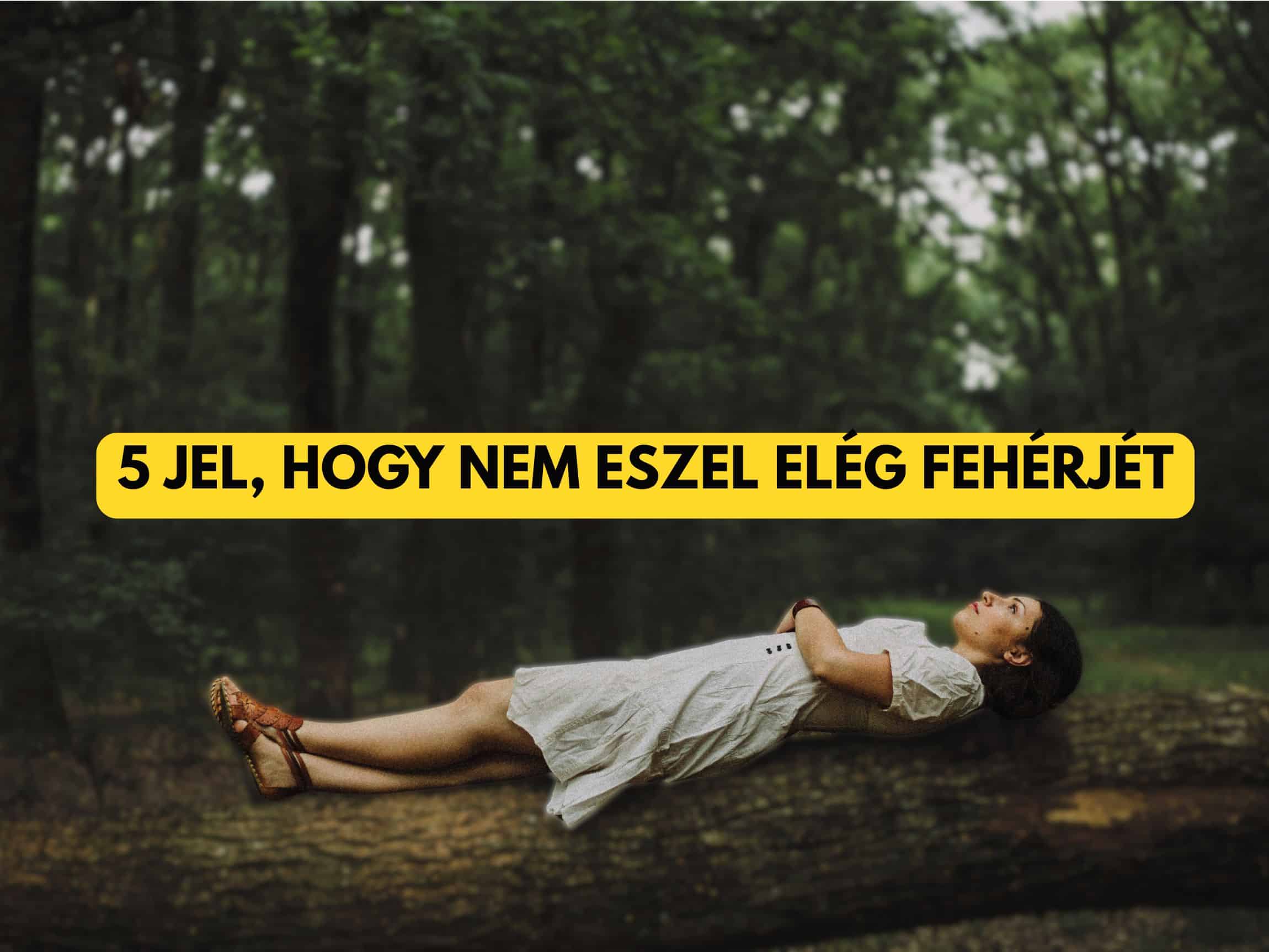 5 jel, hogy nem eszel elég fehérjét