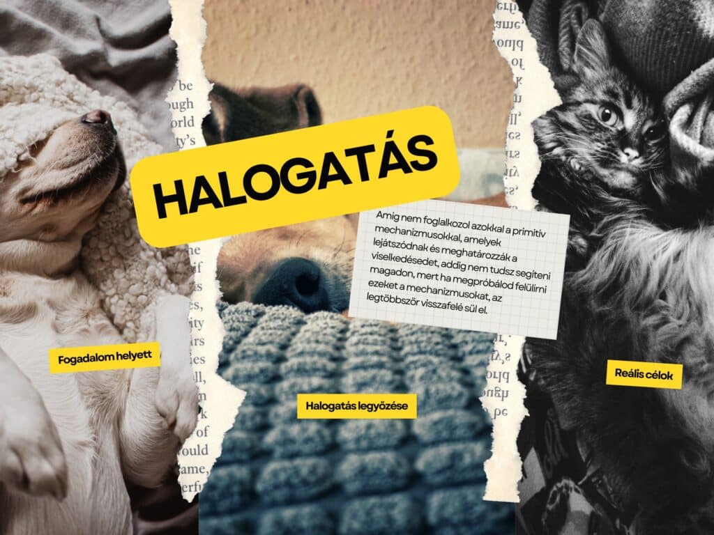 halogatás