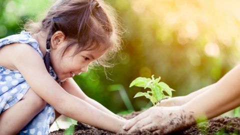 Így nevelj környezettudatos gyereket! 5 tipp
