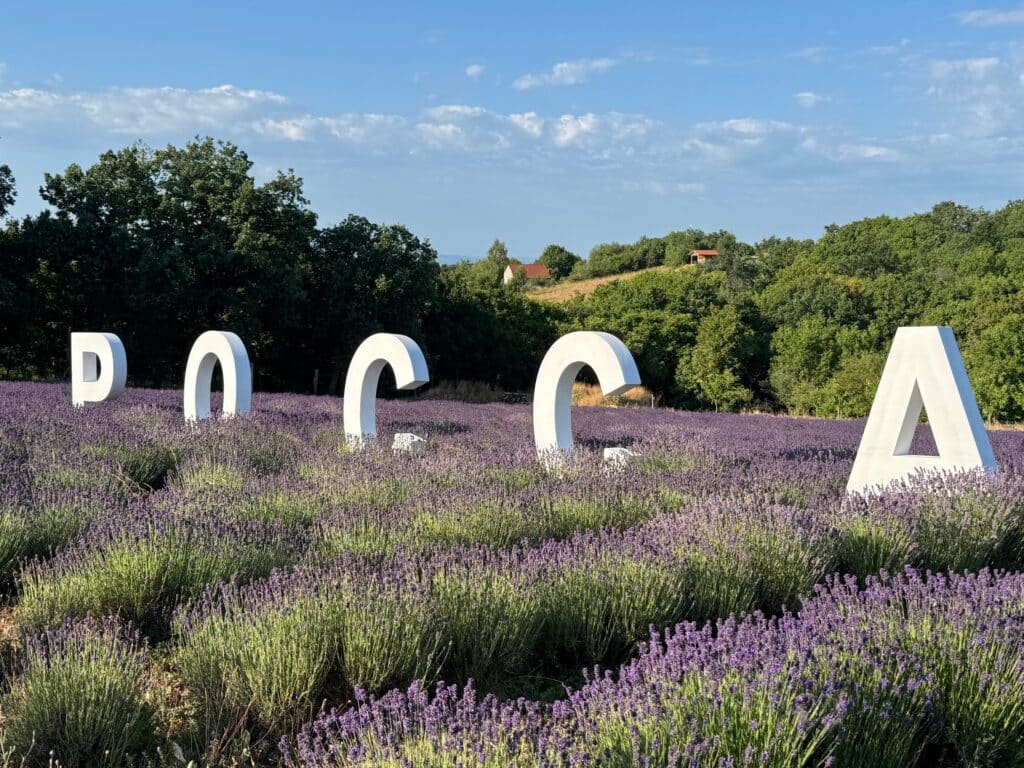 Kabóca Piknik