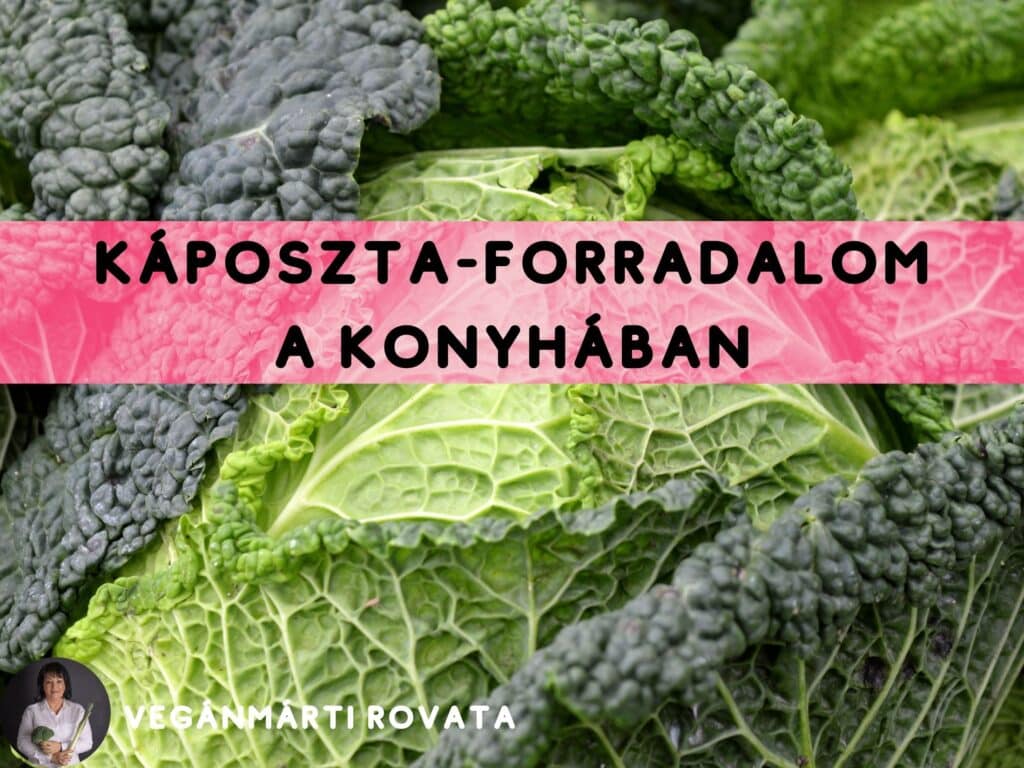 Káposzta-forradalom: 3 modern recept, ami után elfelejted a menzás főzeléket