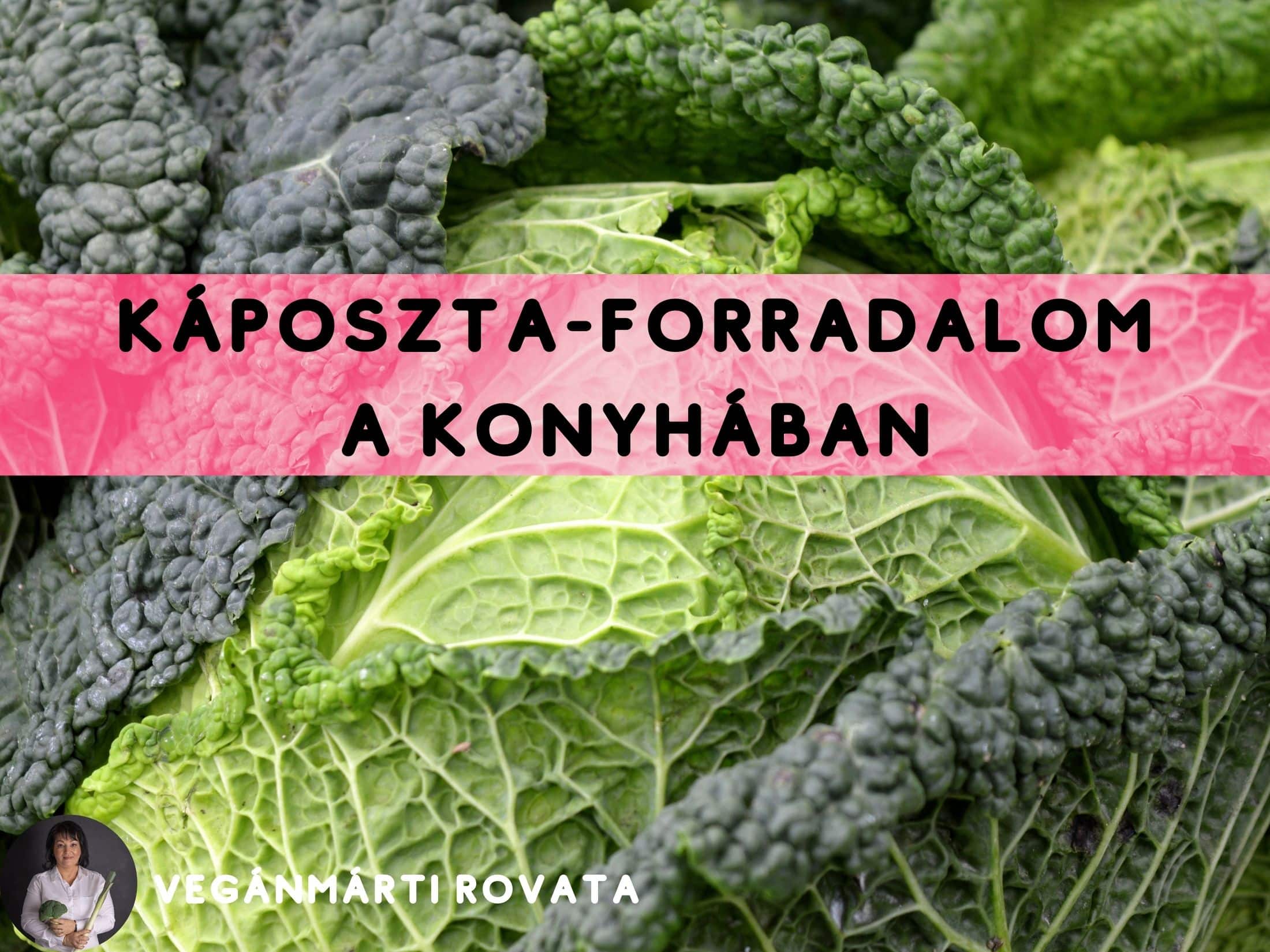 Káposzta-forradalom: 3 modern recept, ami után elfelejted a menzás főzeléket