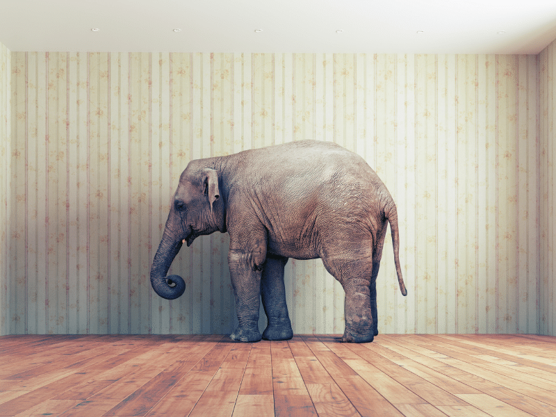 elefánt a lakásban