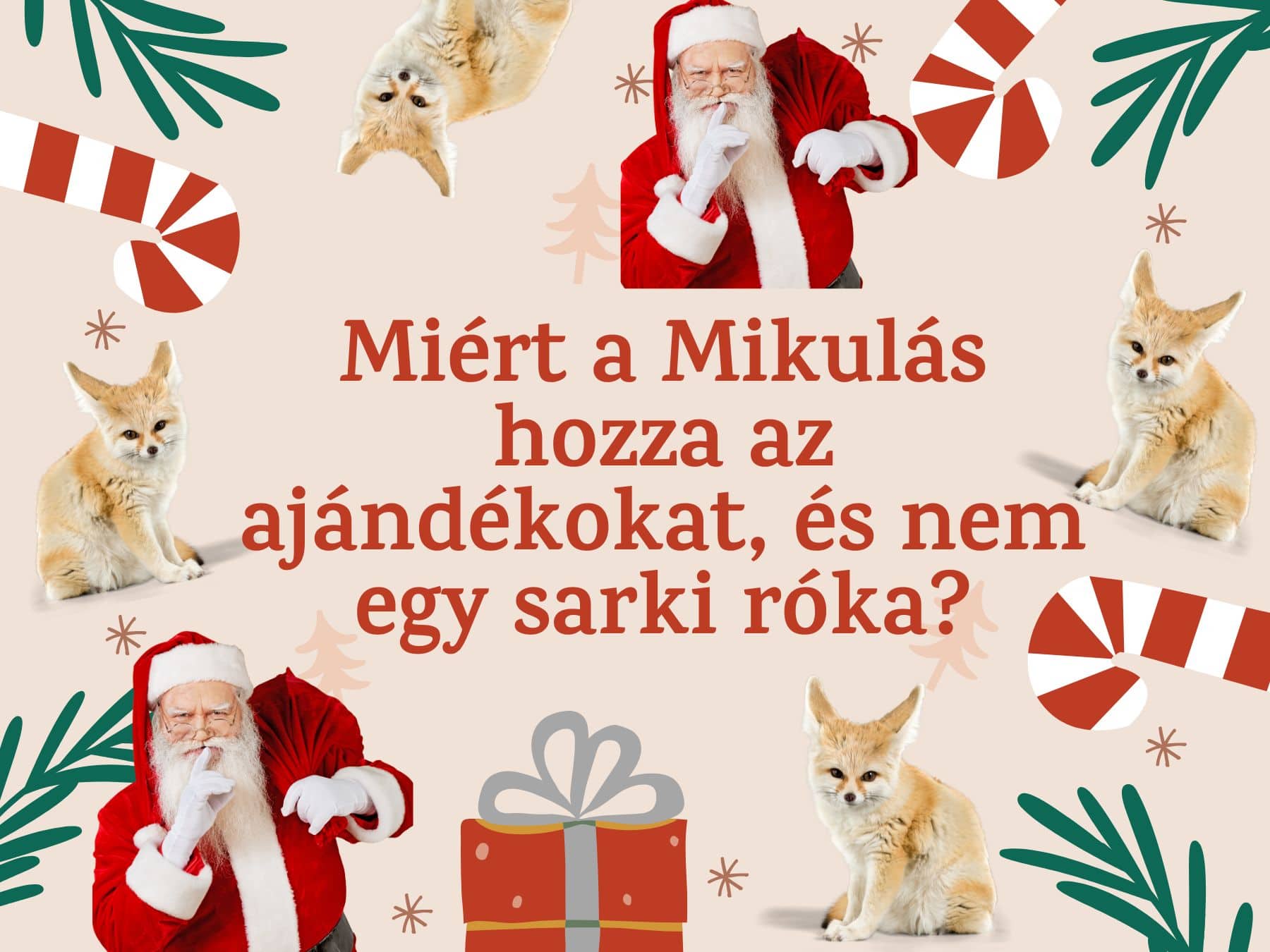 Miért éppen a Mikulás hozza az ajándékokat?