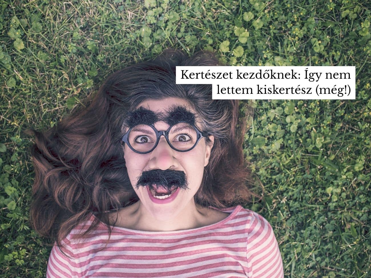 Kertészet kezdőknek