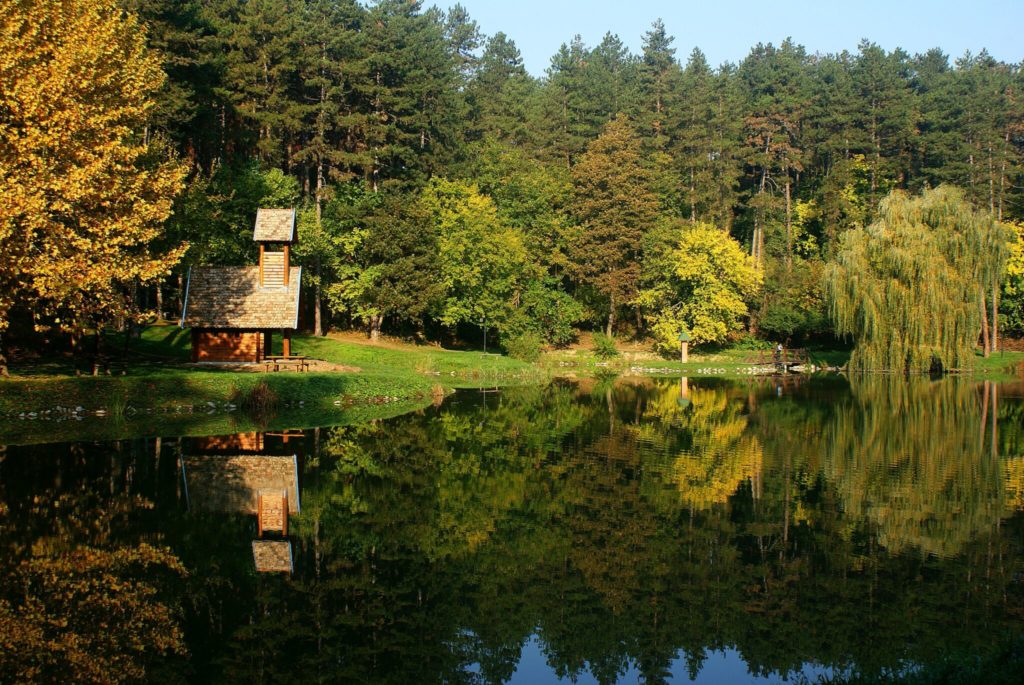 tamasi vadaspark kirándulás gyerekkel