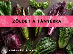 Tavaszi fáradtság elleni gyors, szezonális ételek.