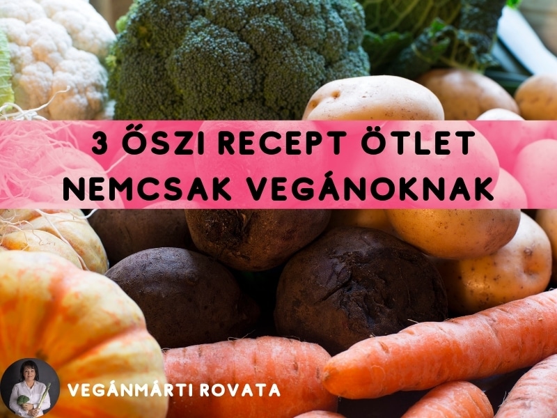 Őszi receptek szeptemberre: 3 szezonális ötlet